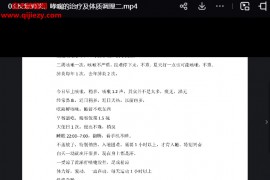 传承系列丛丽经方体质调理肺炎哮喘篇视频课程5集百度网盘下载学习