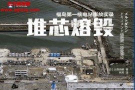 (日)大鹿靖明著堆芯熔毁电子书pdfmobiepub格式百度网盘下载学习