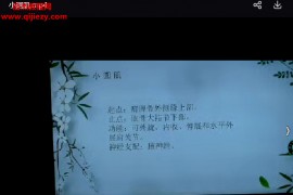 九星肌肉筋膜处方精华课上肢疼痛视频课程17集百度网盘下载学习