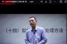 岳本华扁鹊砭通理筋术视频课程42集百度网盘下载学习