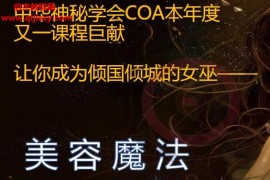 COA美容魔法课视频课程4集文字资料百度网盘下载学习