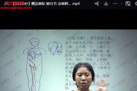 任新爱五行心针视频课程30集百度网盘下载学习