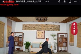 清源师傅武当秘传42天扶正固本养生太极炼气营视频课程百度网盘下载学习