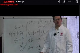 张豪斌古典针灸治疗颈肩腰腿及中风面瘫等疑难病技术班视频课程百度网盘下载学习