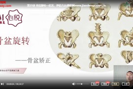 翟佳栋骨盆矫正系列视频课程29集百度云网盘下载学习