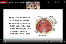 翟天军肌骨血管神经精细解剖与诊疗应用训练营视频课程30讲百度网盘下载学习