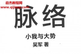 吴军著脉络电子书pdf百度网盘下载学习