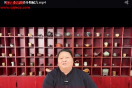 道医敏真外敷秘方视频课程30集百度网盘下载学习