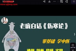 庞龙中医课程合集老庞白话伤寒论庞龙实战伤寒论视频课程百度网盘下载学习