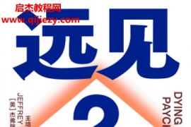 (美)杰弗瑞菲佛著远见2电子书pdfmobiepub格式百度网盘下载学习