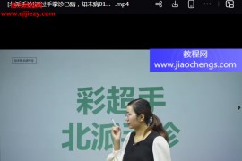 李盼盼北派手诊彩超手视频课程合集通过手掌诊已病知未病百度网盘下载学习