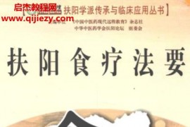 扶阳学派传承与临床应用丛书7册电子书pdf百度网盘下载学习