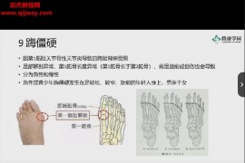 徐高磊肌骨疼痛检查评估系列视频课程75讲百度网盘下载学习