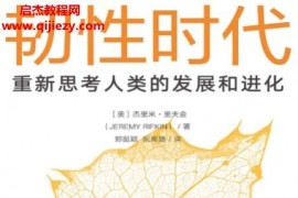 (美)杰里米里夫金著韧性时代电子书pdfmobiepub格式百度网盘下载学习