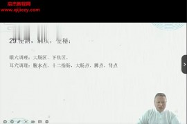 张云飞微针治百病视频课程35集百度网盘下载学习