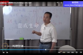 张翔丹道髓脉壹视频课程26集百度网盘下载学习