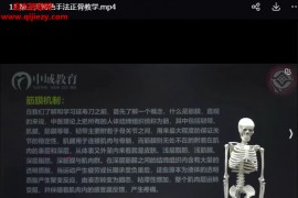 孙嘉瑶张氏正骨视频课程15集百度网盘下载学习