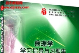 人卫九版习题集全套39本电子书pdf百度网盘下载学习
