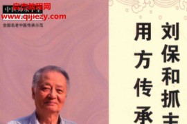 刘保和抓主症用方传承录电子书pdf百度网盘下载学习