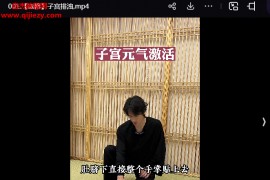 无忌老师初级炼气课无忌元气激活加强营视频课程29集百度网盘下载学习