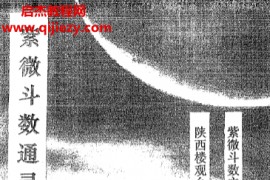 鸿震微著紫微斗数通灵预测学电子书pdf百度网盘下载学习