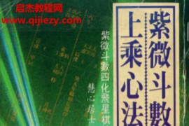 慧心斋主著紫微斗数合集11本电子书pdf百度网盘下载学习