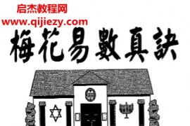 李科儒著梅花易数真诀电子书pdf百度网盘下载学习