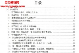 创业者流量手册电子书pdf百度网盘下载学习