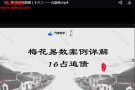 易朴国学梅花易数实战案例精讲视频课程18集百度网盘下载学习