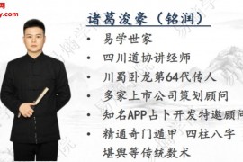 诸葛浚豪诸葛盲派八字课件pdf百度网盘下载学习