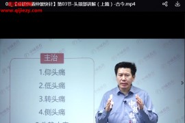 古今非遗悟道仲景快针线上+线下视频课程23集百度网盘下载学习