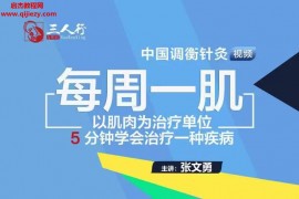 张文勇中国调衡针灸每周一肌视频课程13集百度网盘下载学习