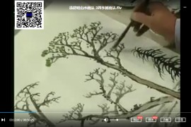 徐建明山水画法山水画技法视频教程7集松树柏树梧树柳树四季树的画法百度云网盘下载学习