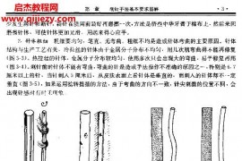 蔺云桂电子书pdf2本蔺云桂针法灸法图解经络图解百度网盘下载学习