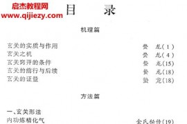 蛰龙著玄关显密法电子书pdf百度网盘下载学习