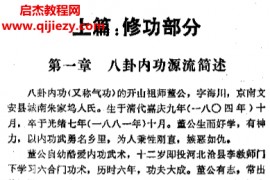 周易八卦指针疗法电子书pdf百度网盘下载学习