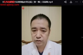 司国刚九凤朝阳针法调理临床常见病线上网课3集百度网盘下载学习