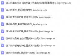 王瑞宽沈氏女科舌诊进阶课8集高清视频教程百度云网盘下载学习中医舌诊视频