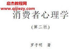 罗子明著消费心理学第二版电子书pdf百度网盘下载学习