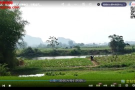 韦昭尤全集韦昭尤风水讲解寻龙点穴视频课程合集百度网盘下载学习