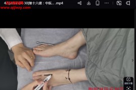 柳才久反射疗法实战班视频课程44集百度网盘下载学习
