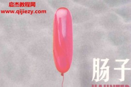 (美)恰克帕拉尼克著肠子电子书pdf百度网盘下载学习