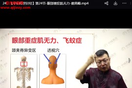 霍高峰华佗传世针经视频课程29集百度网盘下载学习
