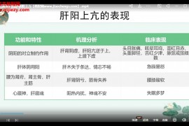 2023年王丽颖沈氏女科虚实辨证法视频课程43集百度网盘下载学习