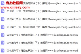 王致效常见病辨治精讲线上课音频14集百度网盘下载学习