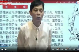 靳庆东十指禅系统课视频课程14集百度网盘下载学习