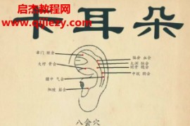 赵双正夹家耳疗法非遗线上视频课程8章131讲百度网盘下载学习