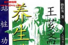 孙长友著王芗斋养生健身站桩功电子书pdf百度网盘下载学习