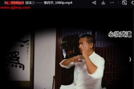 王逸然蝴蝶肘功法视频课程37集百度网盘下载学习