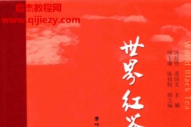 冯廷佺周国文著世界红茶电子书pdf百度网盘下载学习